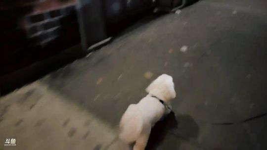 丿Good丶发布了一个斗鱼视频2018-10-29