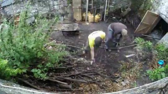 老外如何四天清理完一座1820年的荒废后院