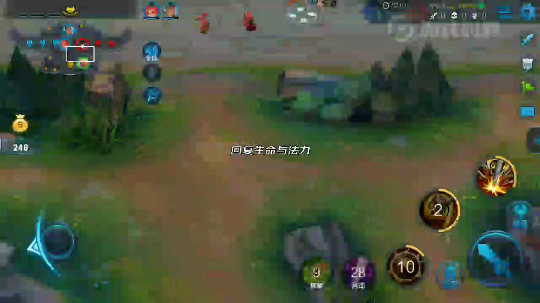 猴王虐菜