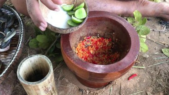 【荒野虫哥】~吃蛇~666~日常操作~