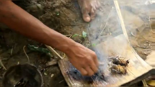 【荒野虫哥】~溪水潺潺身边流~嗑个虫虫欢乐多~