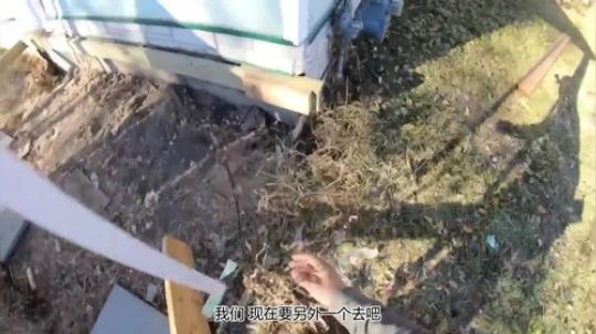 如何建立一个小平台