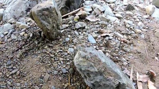 【荒野小姐姐】~能告诉我这条河在哪吗？