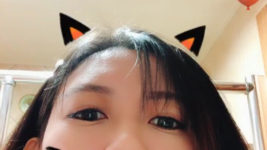 万圣节了 带一只小猫猫回家吧？