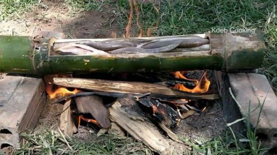 【荒野戏精】~一个人的竹筒鱼套餐~.