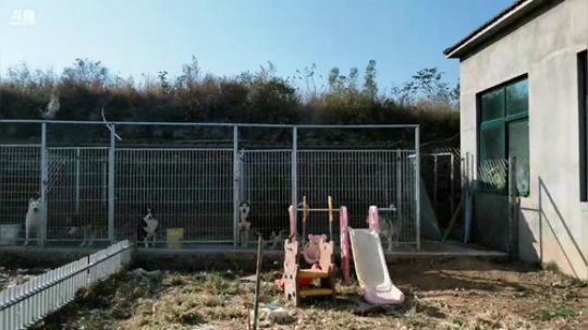 HHHISHHH发布了一个斗鱼视频2018-11-01