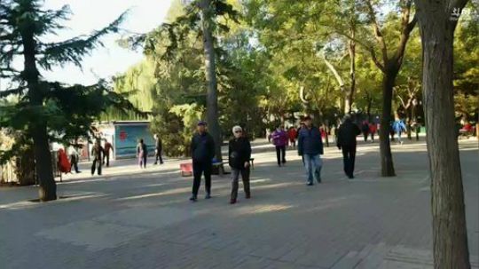 龙马精神之神笔马龙发布了一个斗鱼视频2018-11-01