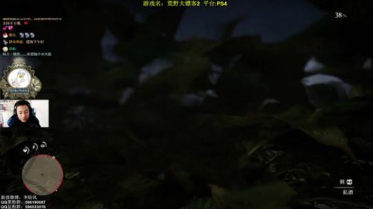 【大镖客2】快枪手李晗风 2018-11-01 15点场