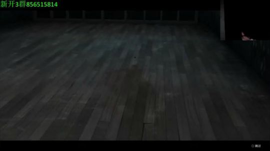 隐藏角色柳智敏速通 2018-11-01 23点场