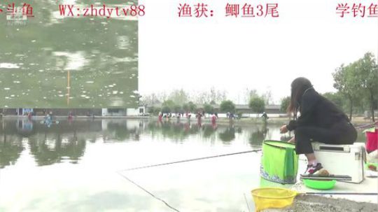 我在斗鱼看中华户外钓鱼直播户外