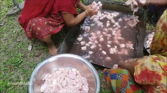 - 印度快乐村 - 鸡和土豆混合肉汁