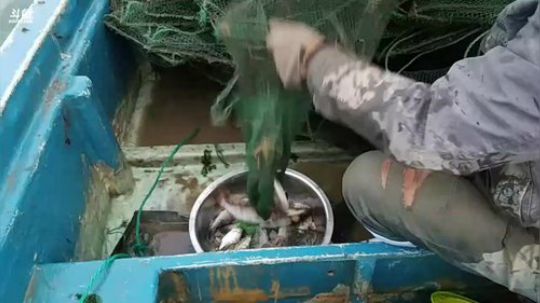 风里雨里，海上走起！ 2018-11-04 16点场