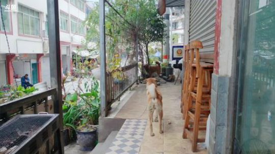 高山人家，乡民的晚餐 2018-11-03 12点场