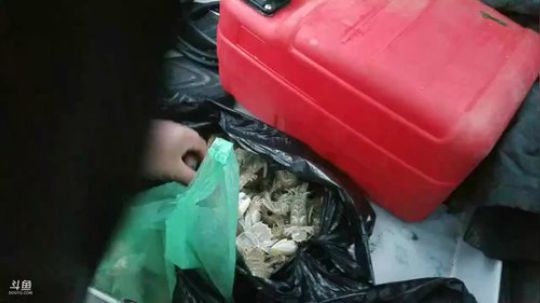 风里雨里，海上走起！ 2018-11-05 16点场