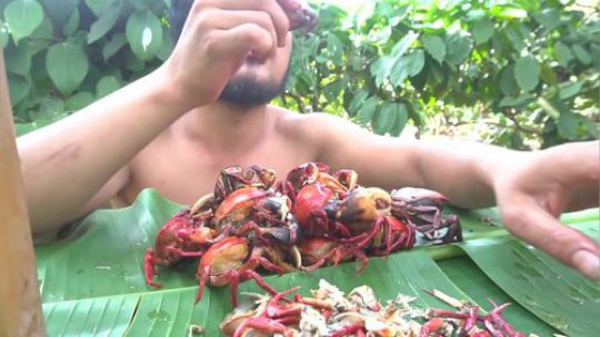 【吃到吐系列】眯眯眼的吃播——螃蟹.