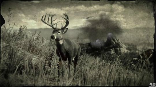 《荒野大镖客2》 2018-11-05 20点场