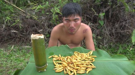 【吃到吐系列】眯眯眼的吃播——油炸大青虫