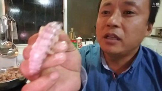 风里雨里，海鲜走起！ 2018-11-05 21点场