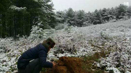 我在斗鱼看黑哥户外直播户外