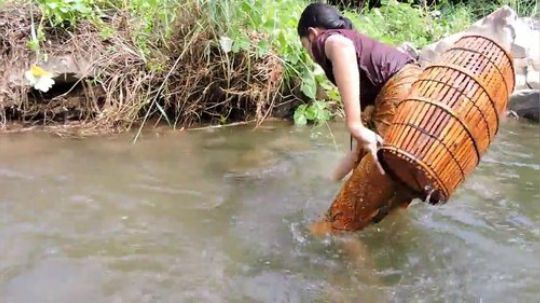 【荒野虫姐】~疯狂地追杀一条鳝鱼~