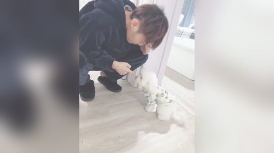 狗王总算恢复精神了