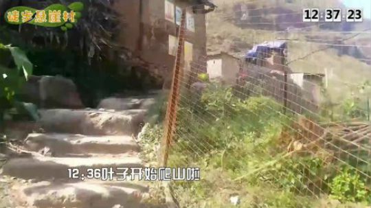 11.11陪陪家人晚上晚点开播 2018-11-11 11点场