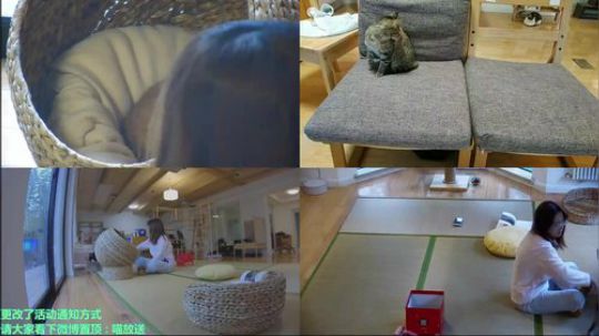 我在斗鱼看喵放送直播户外