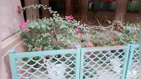 我本善良72发布了一个斗鱼视频2018-11-11