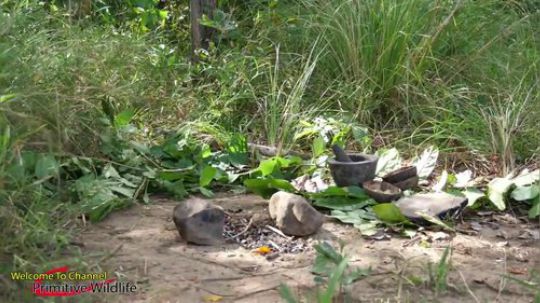 【荒野戏精】~两个小戏精~猴子野区追杀蛤蟆