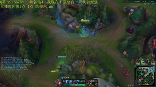 峡谷之巅 今天练练锤石布隆 2018-11-11 01点场