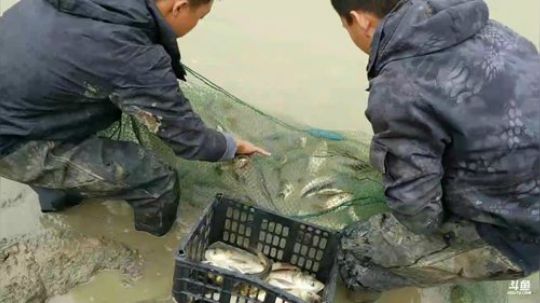 雨中等你666发布了一个斗鱼视频2018-11-13