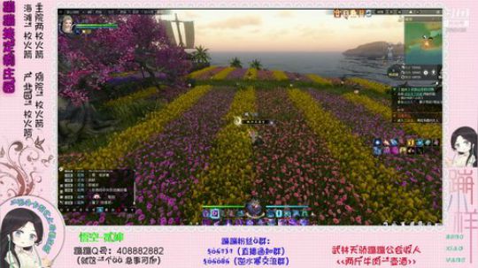 蹦：帮做庄园的小主播 武林天骄的 2018-11-14 03点场
