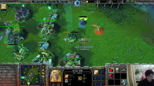 我在斗鱼看大帝LioN直播魔兽争霸