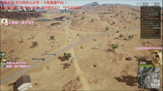 【一条小团团】摩托车赛