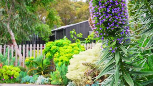 -豪宅欣赏-澳大利亚.墨尔本田园豪宅