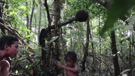 【荒野戏精】~两个小戏精~道具组给力今天吃螃蟹~