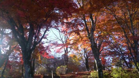 吉时已到 求一波关注