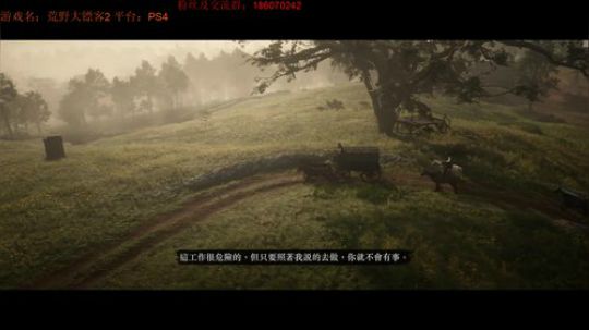 荒野大镖客2，套马地汉子你威武雄壮 2018-11-15 16点场