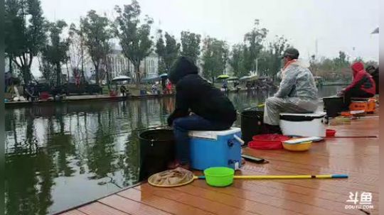 湖北钓鱼锦标赛 2018-11-17 14点场