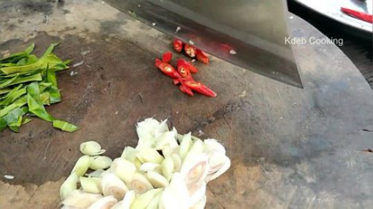 【荒野熊孩】500只蟋蟀炒一锅！妹妹挑食只吃头.