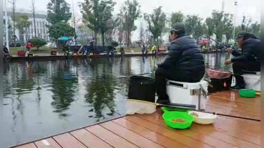 湖北钓鱼锦标赛 2018-11-17 10点场