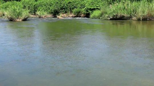 【讲究哥】鱼儿在烂瓦锅上疯狂挣扎最后变成美味的烤鱼！