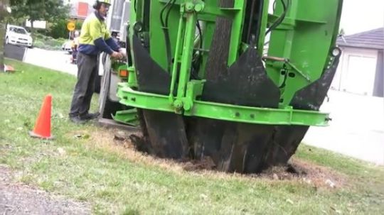 这种植树神器，我们过植树节时一定要买一台!