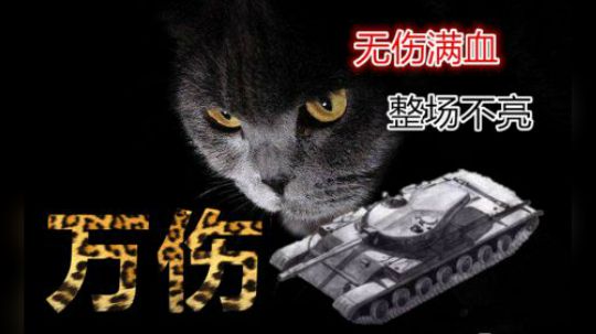 坦克世界 100LT万伤未亮 暗中观察