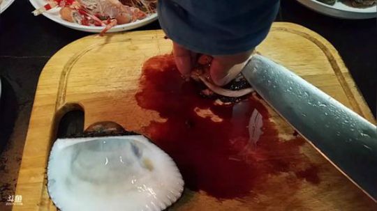 我本善良72发布了一个斗鱼视频2018-11-19