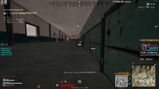 我在斗鱼看pigff直播吃鸡游戏