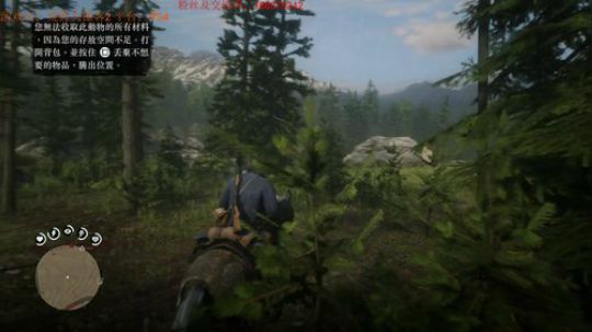 荒野大镖客2，套马地汉子你威武雄壮 2018-11-18 16点场