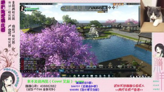 蹦：帮做庄园的小主播 武林天骄的 2018-11-15 15点场
