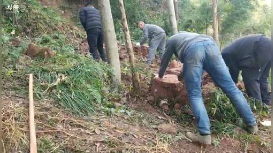 我在斗鱼看黑哥户外直播户外