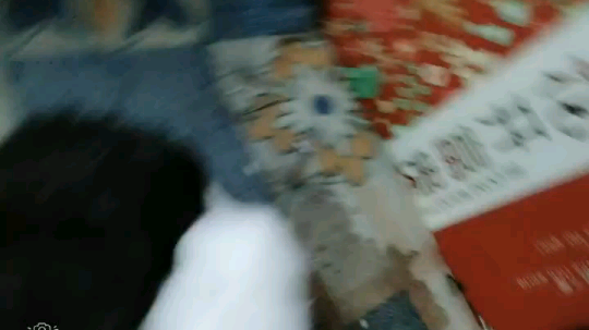 肉肉的小猫咪